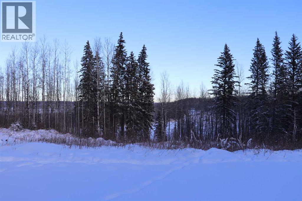 14132 East Bank Road, Rural Yellowhead County, Alberta  T7E 3Z4 - Photo 2 - A2279737