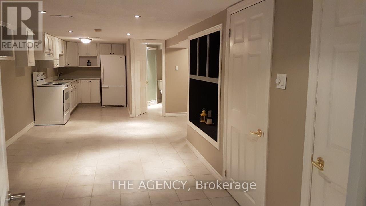 Basement - 236 Demaine Crescent, Richmond Hill, Ontario  L4C 2W5 - Photo 2 - N12767882