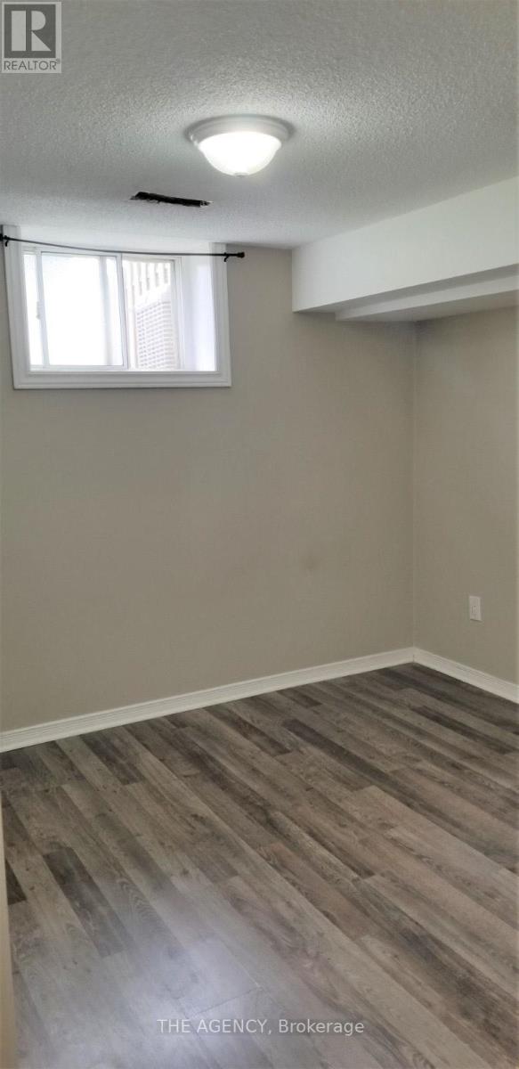 Basement - 236 Demaine Crescent, Richmond Hill, Ontario  L4C 2W5 - Photo 4 - N12767882