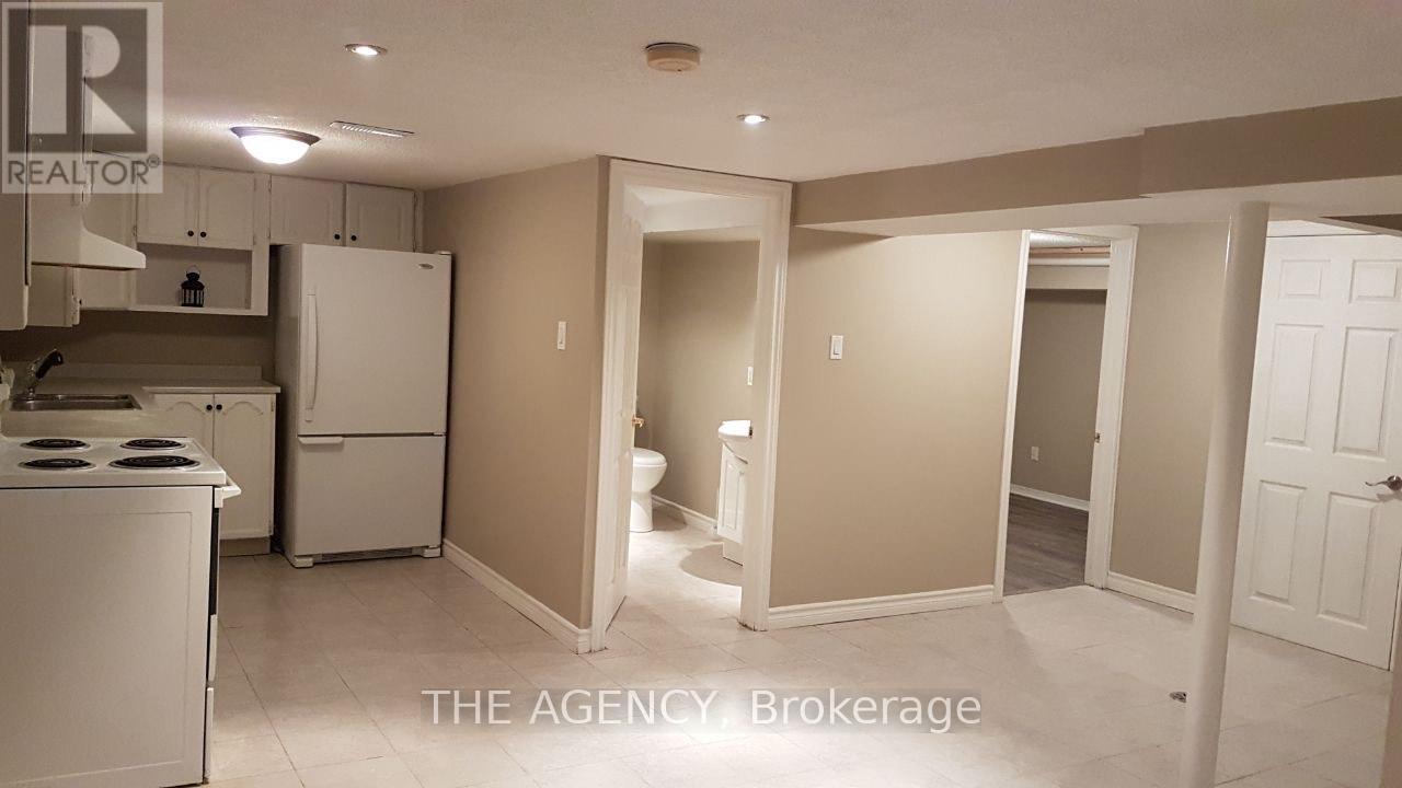 Basement - 236 Demaine Crescent, Richmond Hill, Ontario  L4C 2W5 - Photo 6 - N12767882