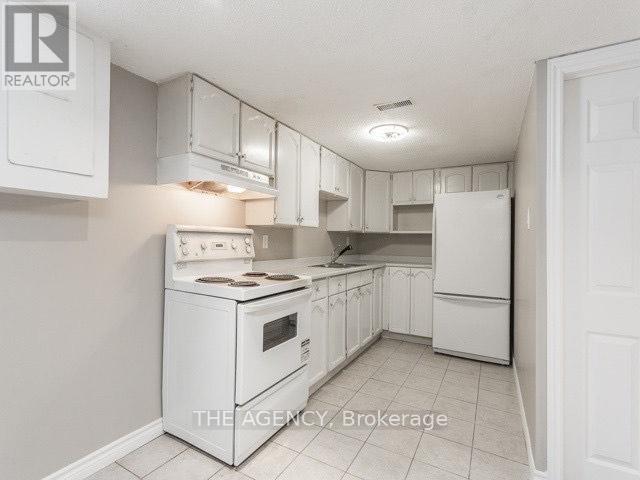 Basement - 236 Demaine Crescent, Richmond Hill, Ontario  L4C 2W5 - Photo 7 - N12767882