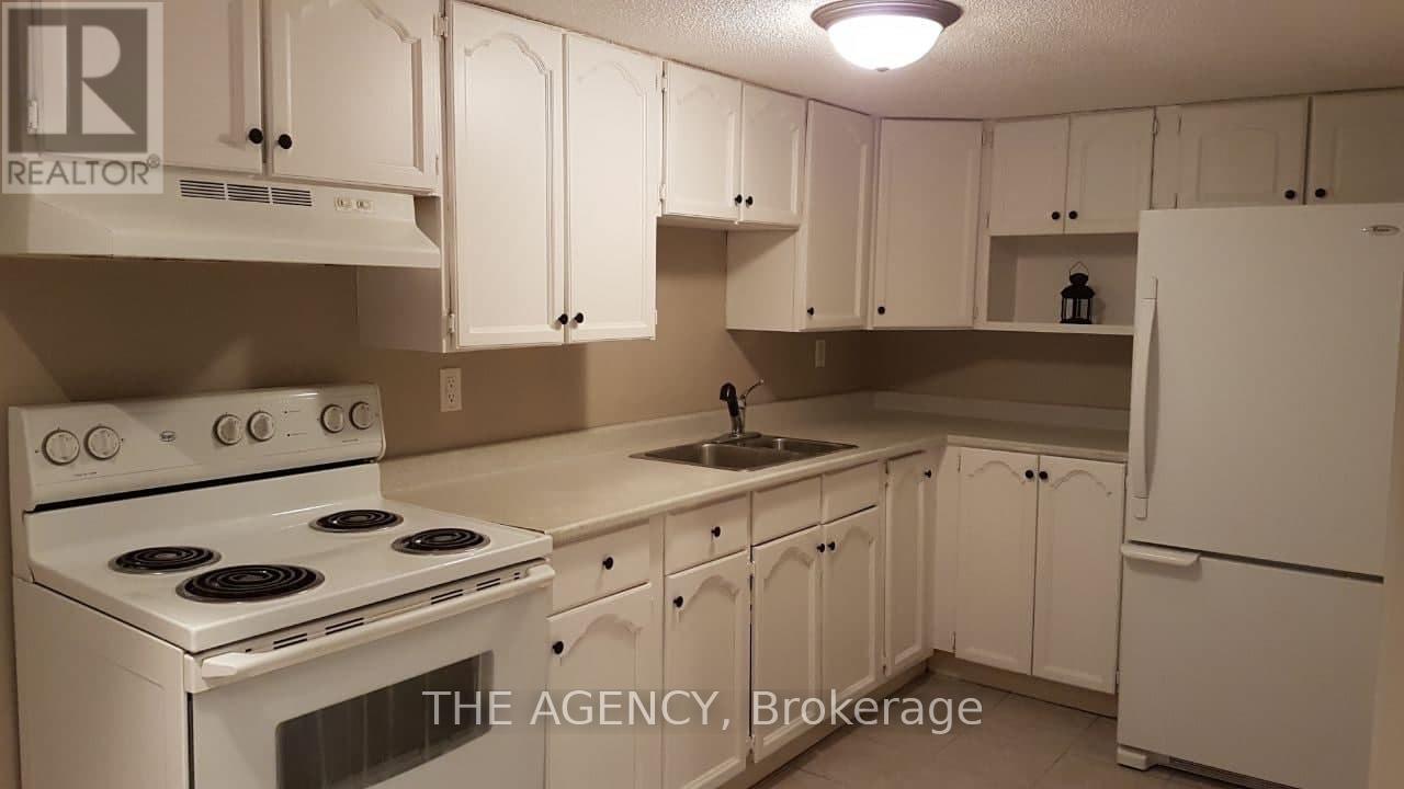 Basement - 236 Demaine Crescent, Richmond Hill, Ontario  L4C 2W5 - Photo 9 - N12767882