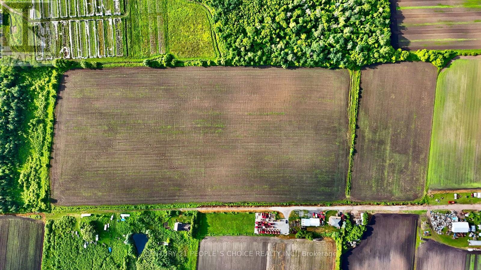 325 Lipchey Road, King, Ontario  L3Y 4V9 - Photo 11 - N12767892