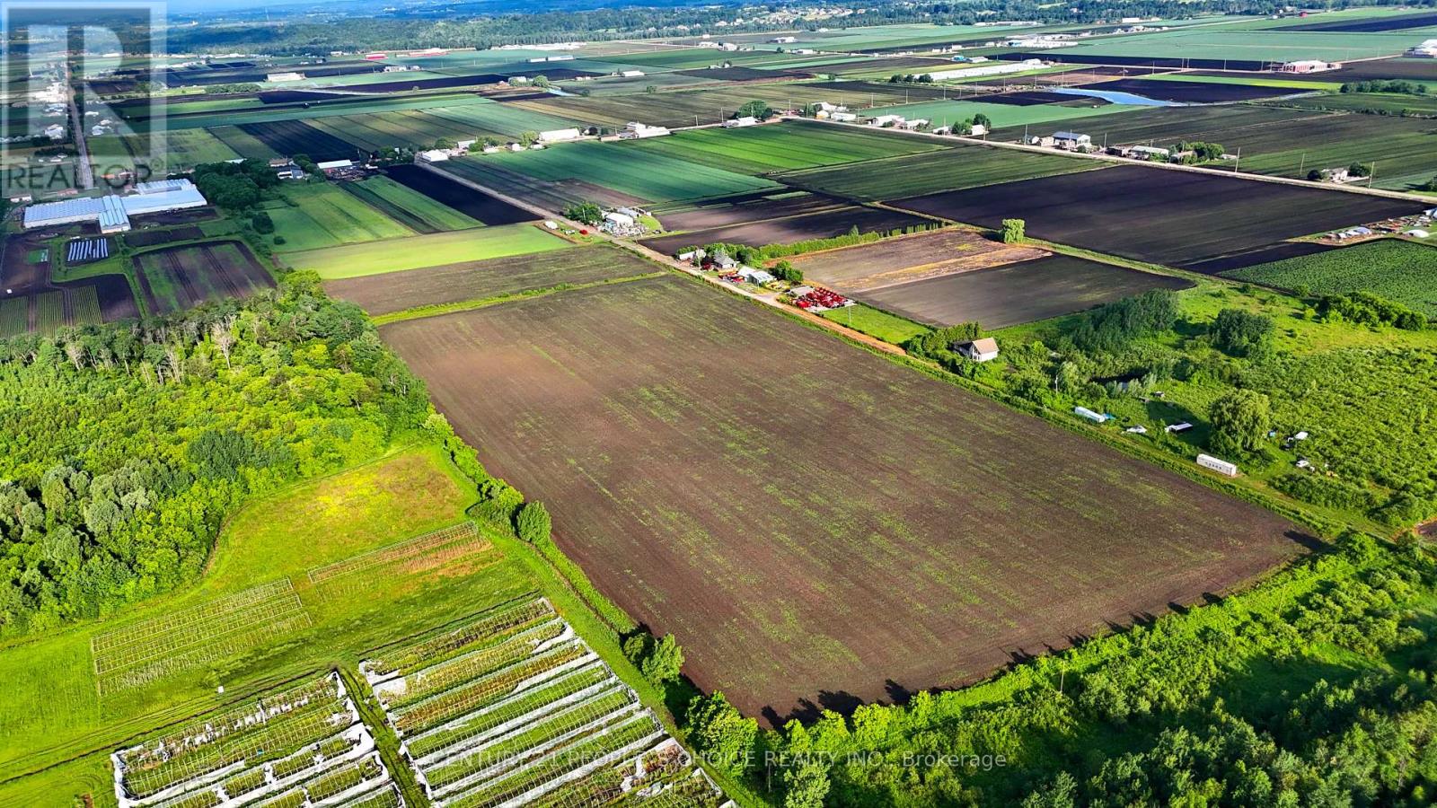 325 Lipchey Road, King, Ontario  L3Y 4V9 - Photo 5 - N12767892