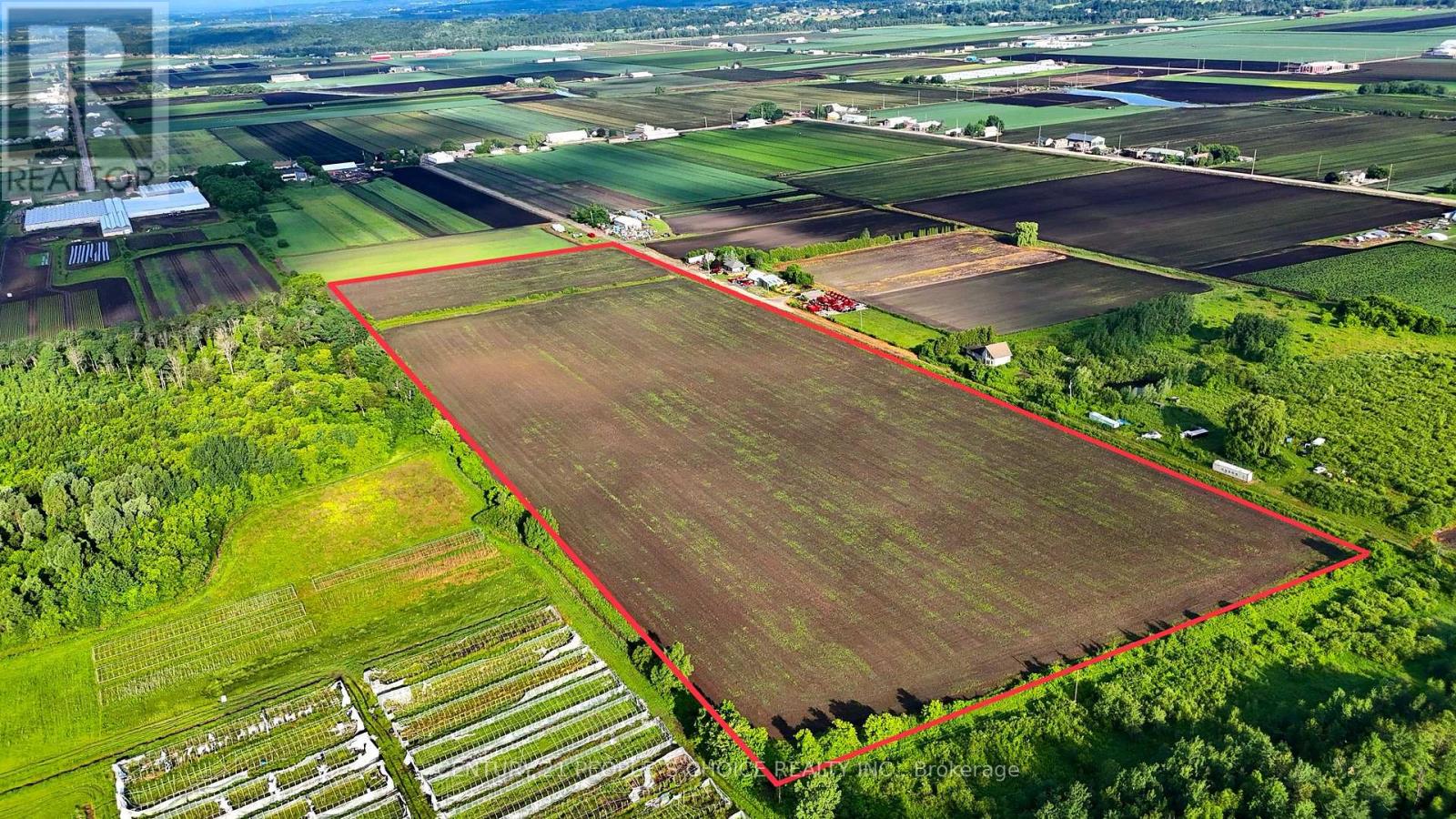 325 Lipchey Road, King, Ontario  L3Y 4V9 - Photo 6 - N12767892