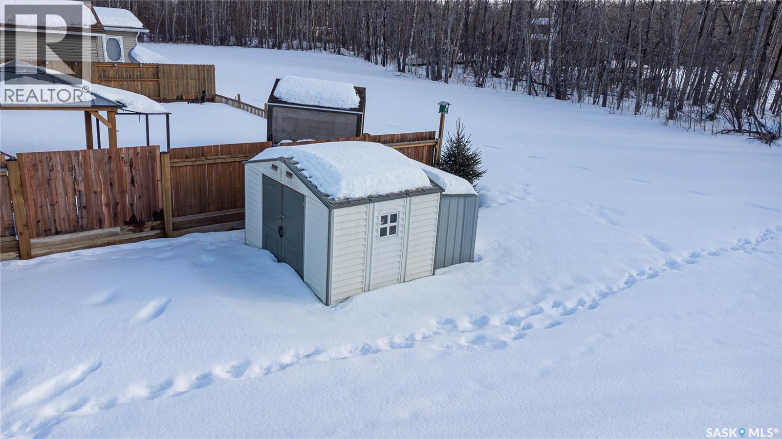 1209 Oak Avenue, Beaver River Rm No. 622, Saskatchewan  S0M 1A0 - Photo 29 - SK028117