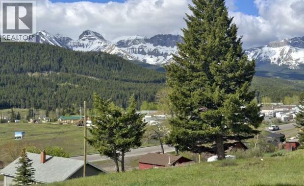 6510 22 Avenue, Coleman, Alberta  T0K 0E0 - Photo 2 - A2284552