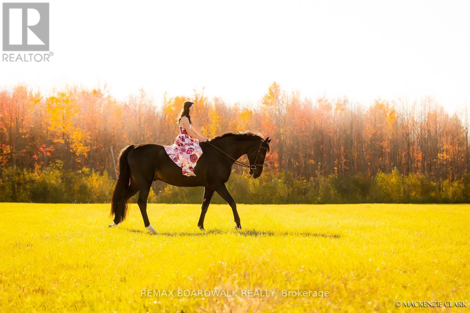 6222 Dunning Road S, Ottawa, Ontario  K0A 3H0 - Photo 8 - X12768090