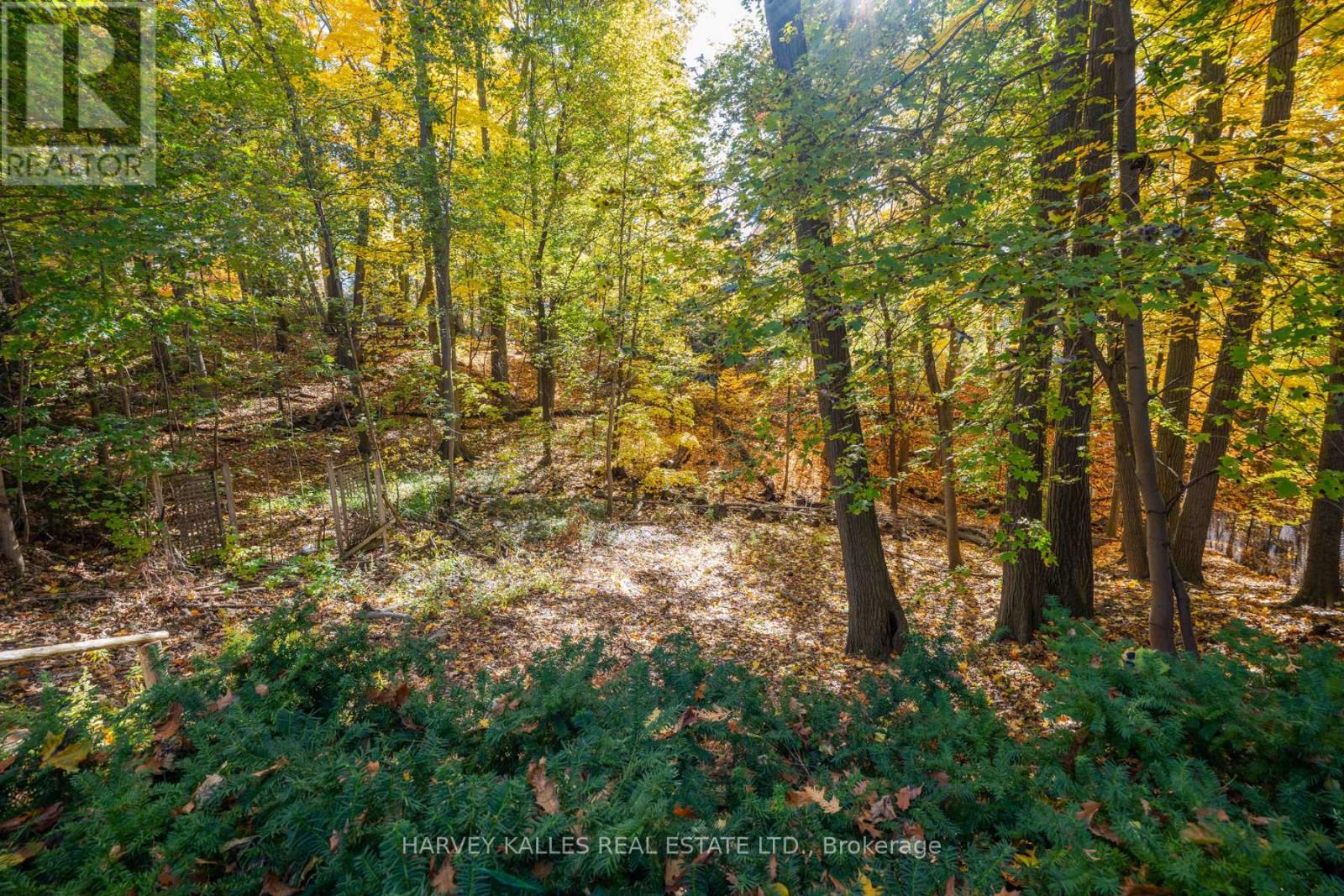 7 Ridgewood Road, Toronto (Forest Hill South), Ontario  M5P 1T4 - Photo 29 - C12768082