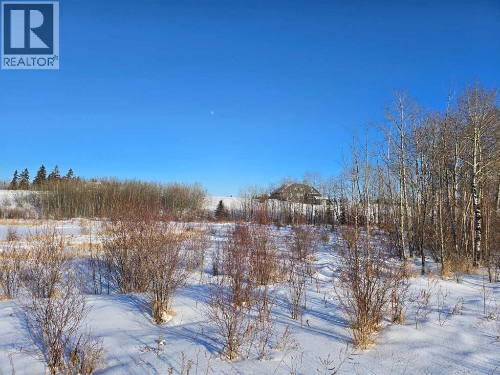 414 Sand Hills Drive, Rural Ponoka County, Alberta  T4J 0B3 - Photo 26 - A2194610