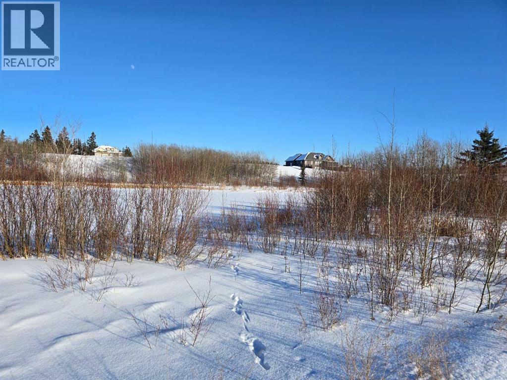 414 Sand Hills Drive, Rural Ponoka County, Alberta  T4J 0B3 - Photo 25 - A2194610