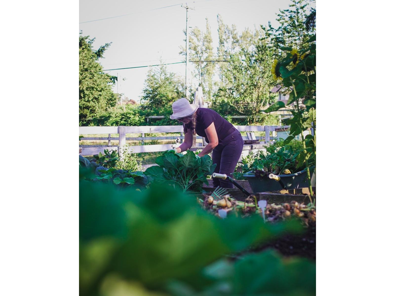 21113 16 Avenue, Langley, British Columbia  V2Z 1K3 - Photo 5 - R3085241