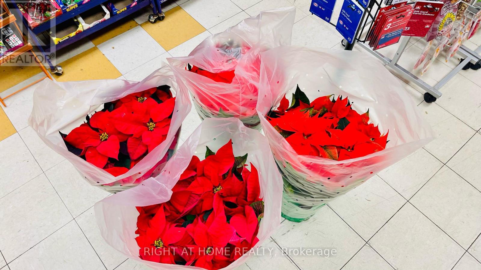 33 The Links Road, Toronto (St. Andrew-Windfields), Ontario  M2P 1T7 - Photo 15 - C12768228