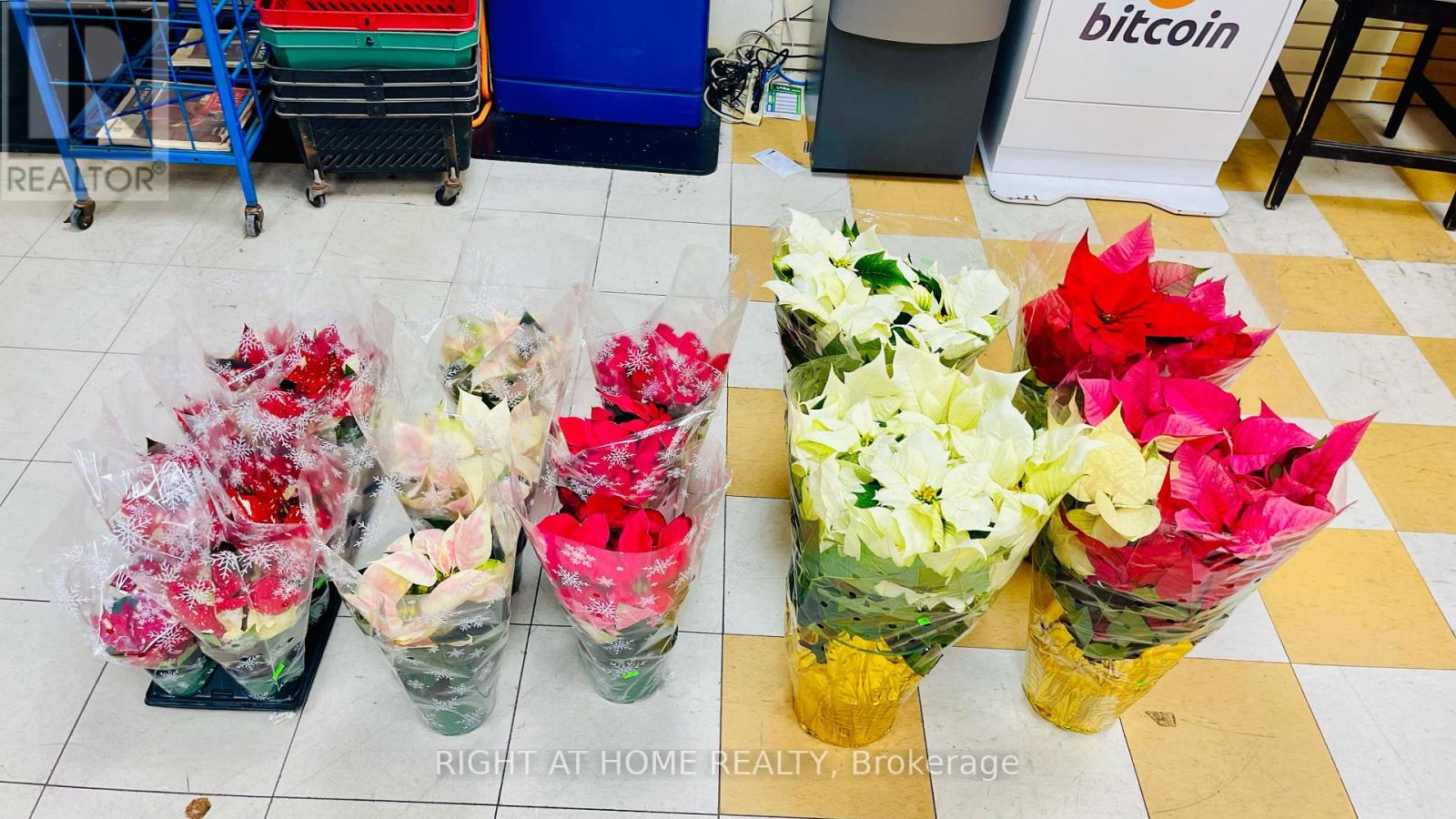 33 The Links Road, Toronto (St. Andrew-Windfields), Ontario  M2P 1T7 - Photo 3 - C12768228