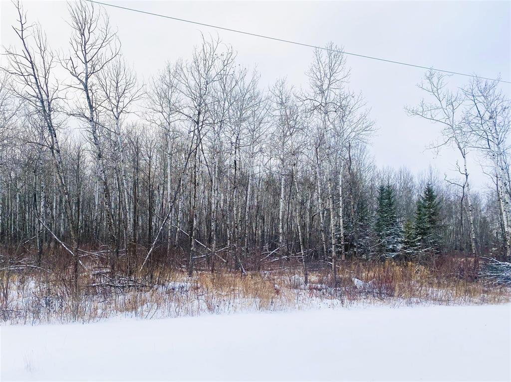22 Katy Lane, La Broquerie, Manitoba  R0A 0W2 - Photo 0 - 202601900