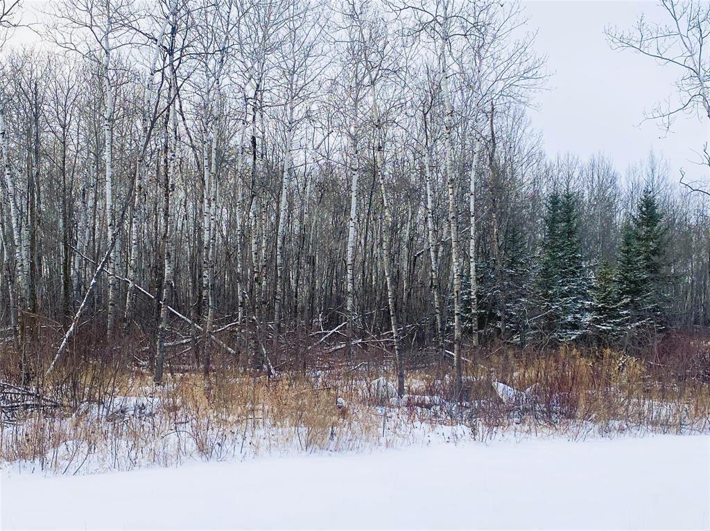 22 Katy Lane, La Broquerie, Manitoba  R0A 0W2 - Photo 1 - 202601900