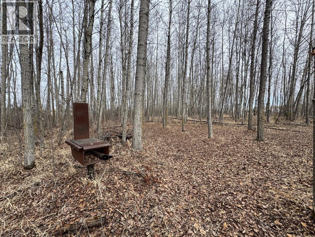 138, 44101 214 Range, Rural Camrose County, Alberta  T0B 1M0 - Photo 12 - A2216164