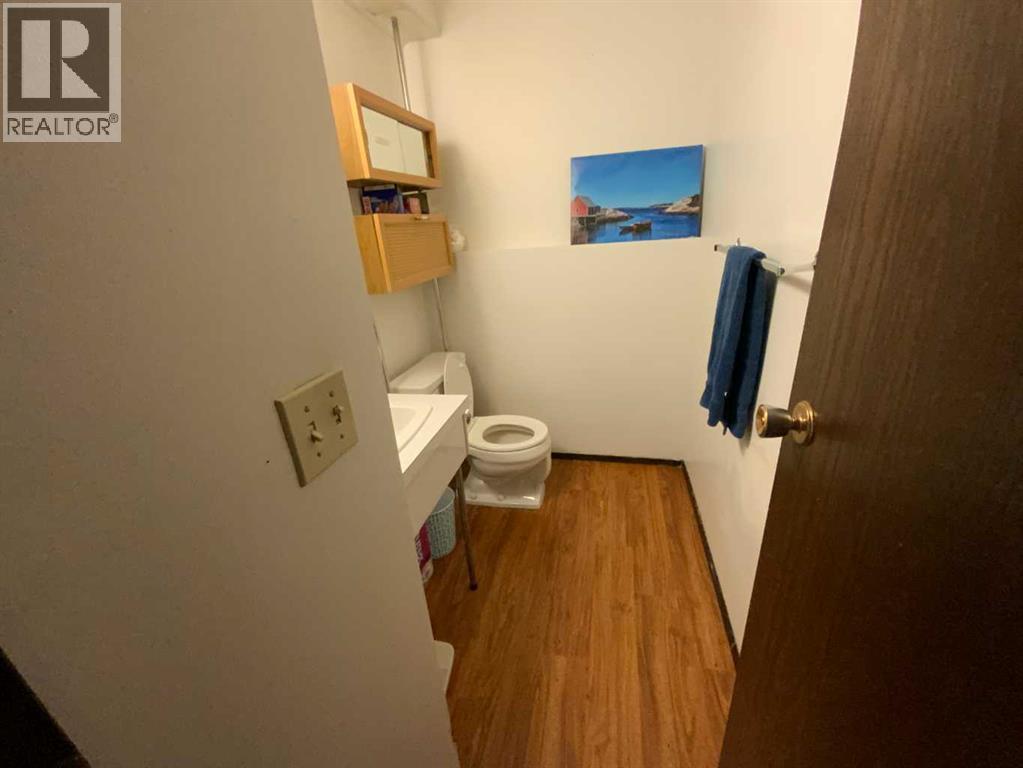 443 4 Avenue Se, Three Hills, Alberta  T0M 2A0 - Photo 14 - A2264341