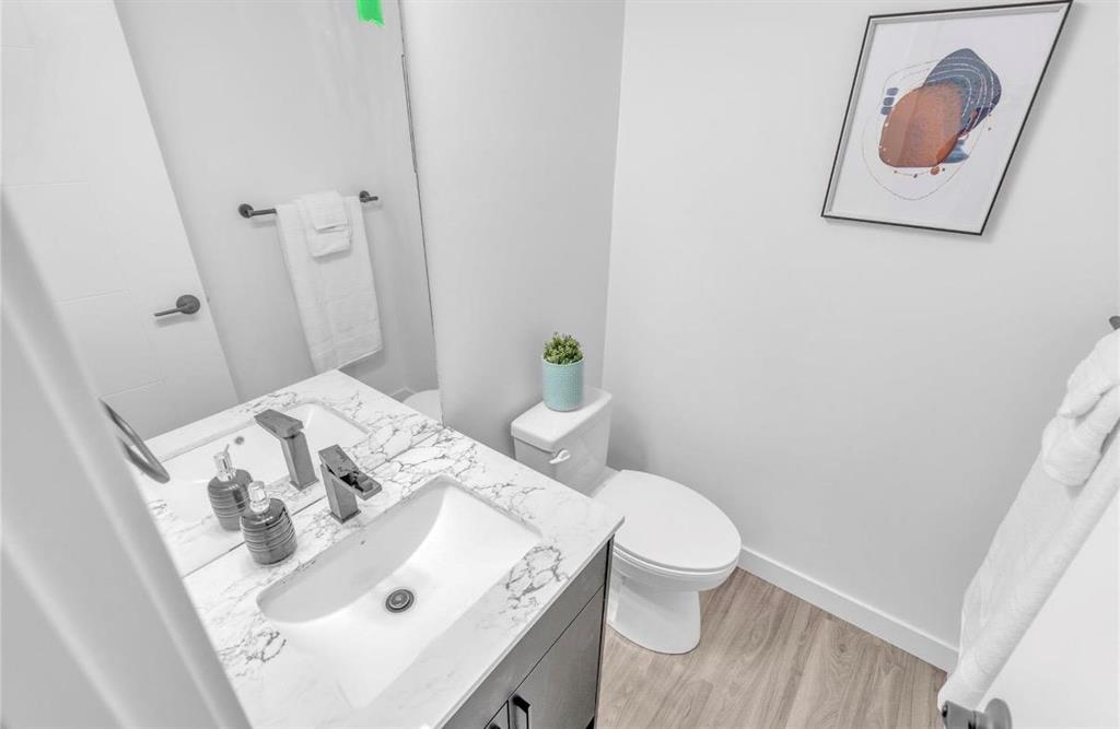 254 Numeracy Lane, Winnipeg, Manitoba  R2P 2S8 - Photo 11 - 202601502