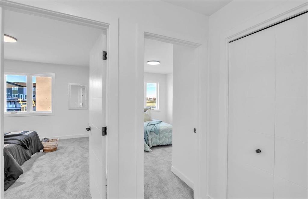 254 Numeracy Lane, Winnipeg, Manitoba  R2P 2S8 - Photo 21 - 202601502