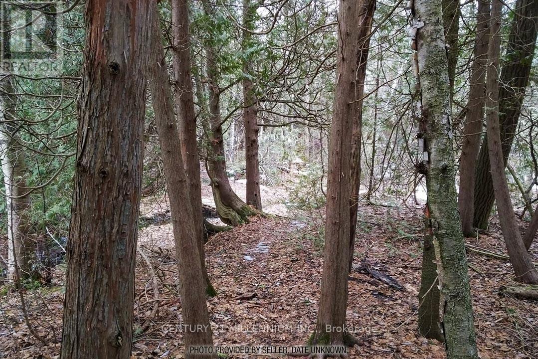 18599 Horseshoe Hill Road, Caledon, Ontario  L7K 2B9 - Photo 49 - W12764812