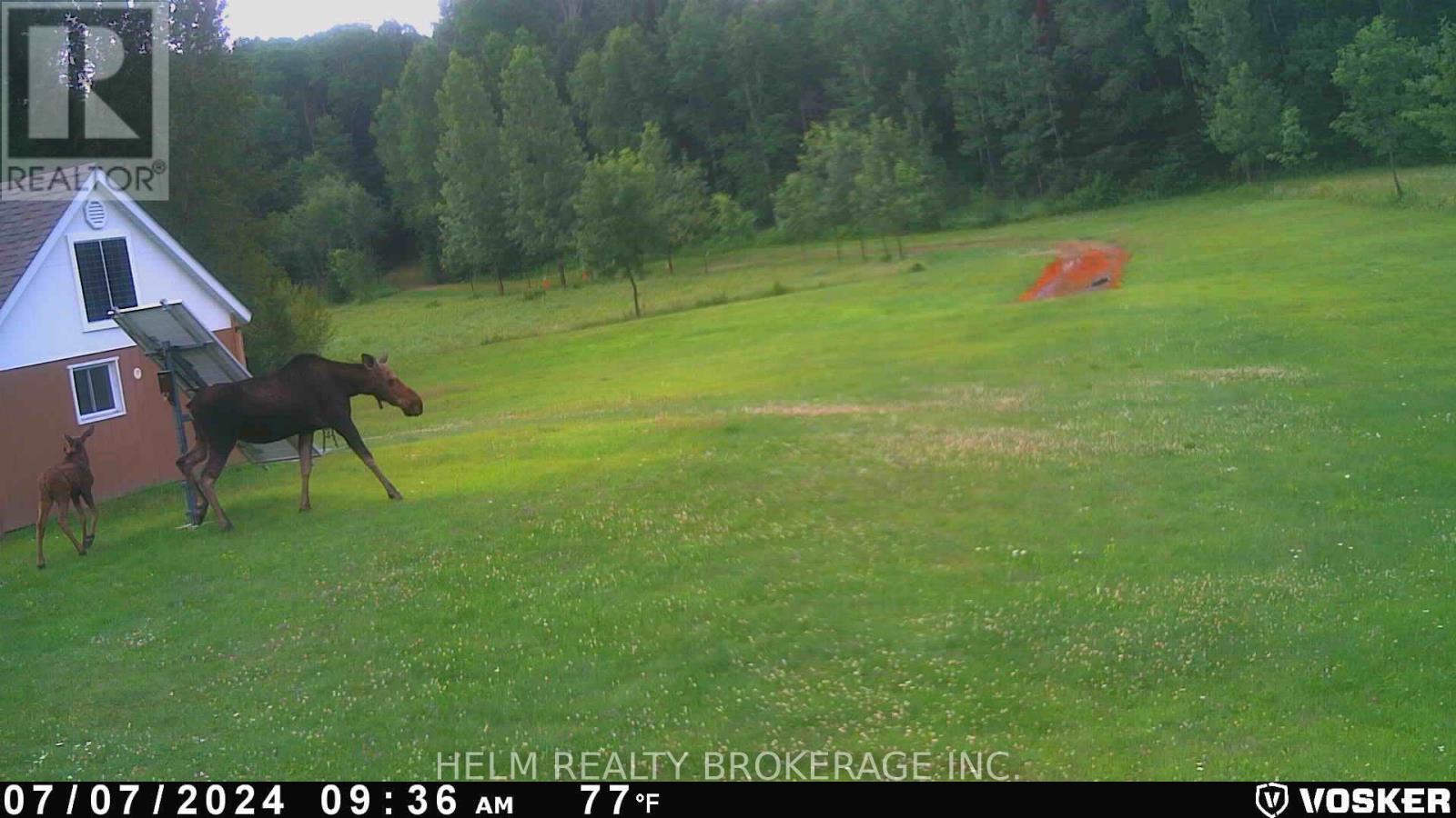 839 Grand Desert Road, Bonfield, Ontario  P0H 2E0 - Photo 14 - X12765250