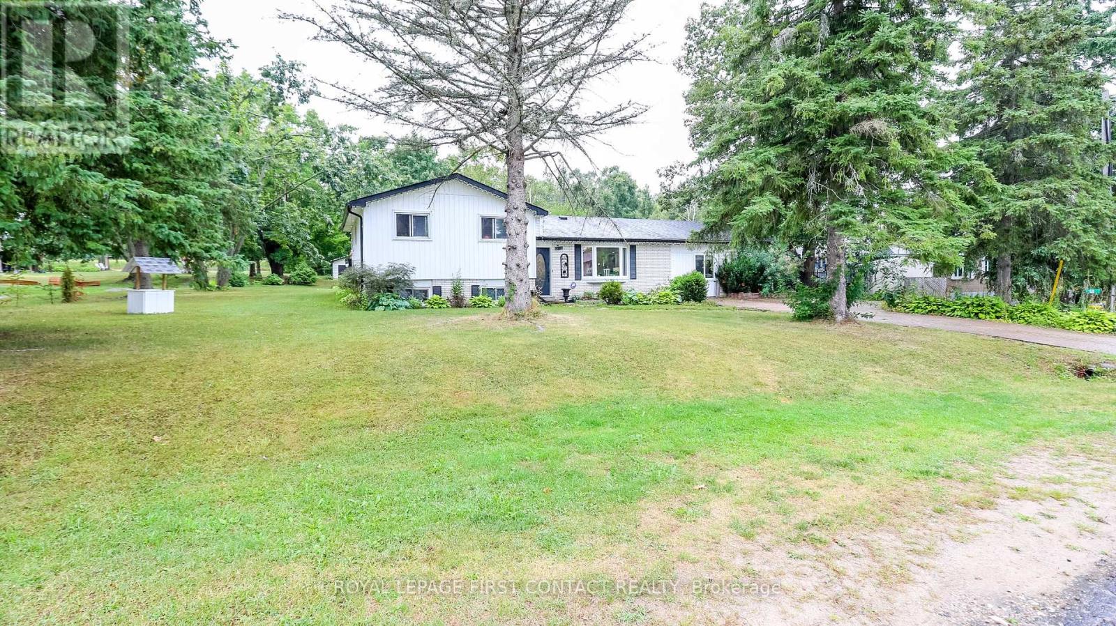 14 Conder Drive, Oro-Medonte, Ontario  L0K 1E0 - Photo 2 - S12768592