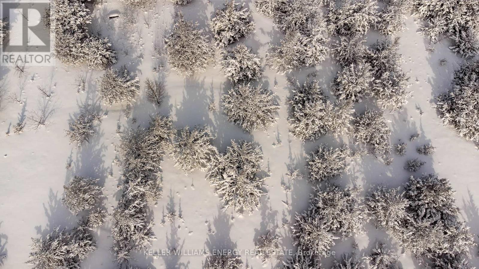 274 Prinyers Cove Crescent, Prince Edward County, Ontario  K0K 2T0 - Photo 18 - X12750808