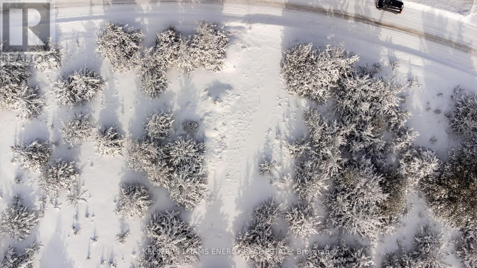 274 Prinyers Cove Crescent, Prince Edward County, Ontario  K0K 2T0 - Photo 19 - X12750808