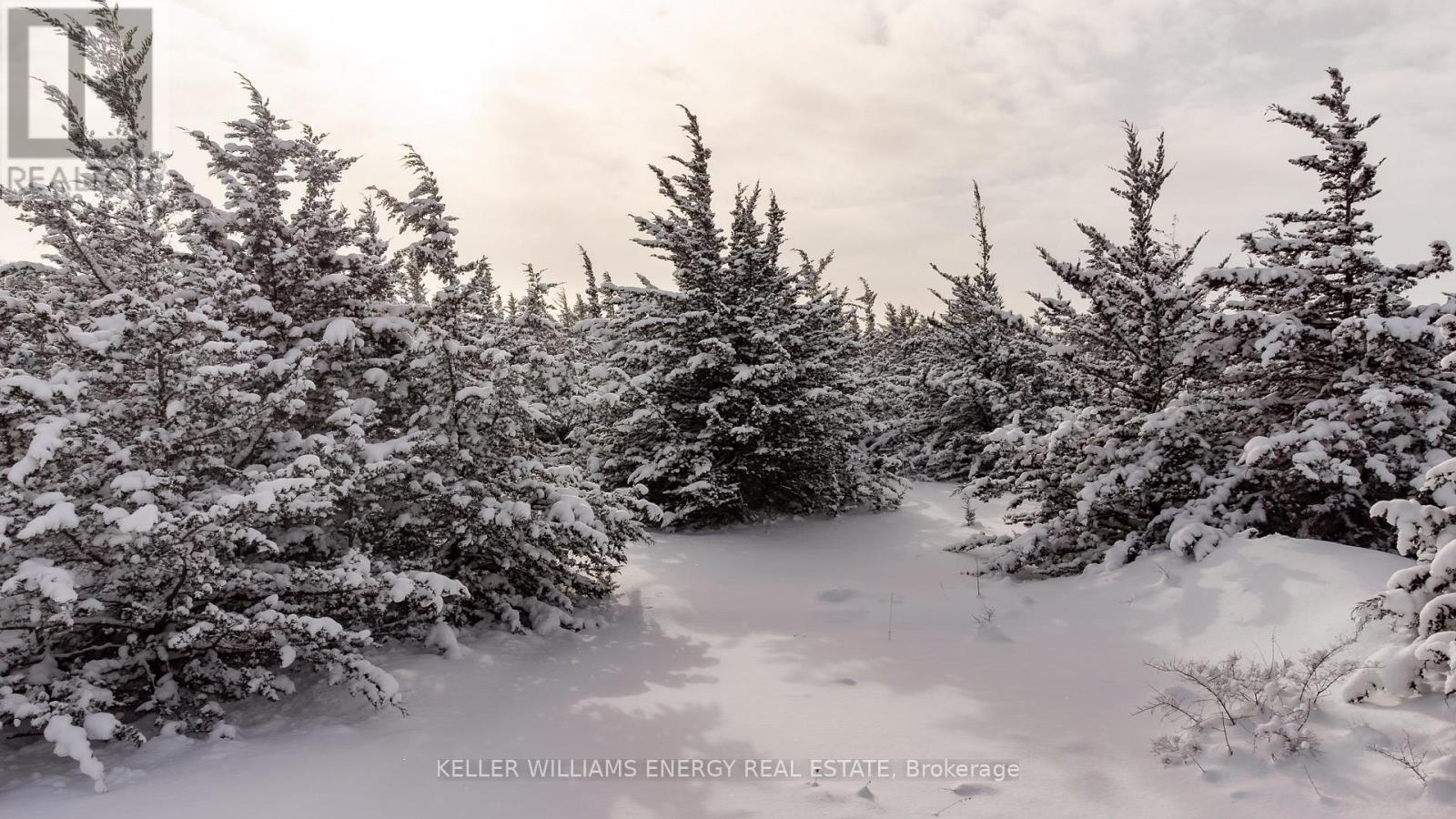 274 Prinyers Cove Crescent, Prince Edward County, Ontario  K0K 2T0 - Photo 20 - X12750808