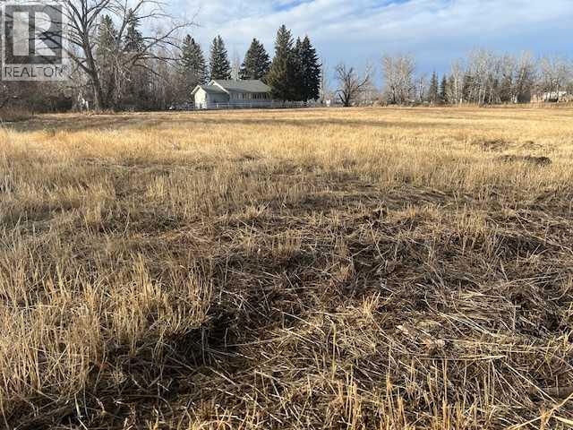 629 11 Street W, Brooks, Alberta  T1R 0E2 - Photo 5 - A2277757