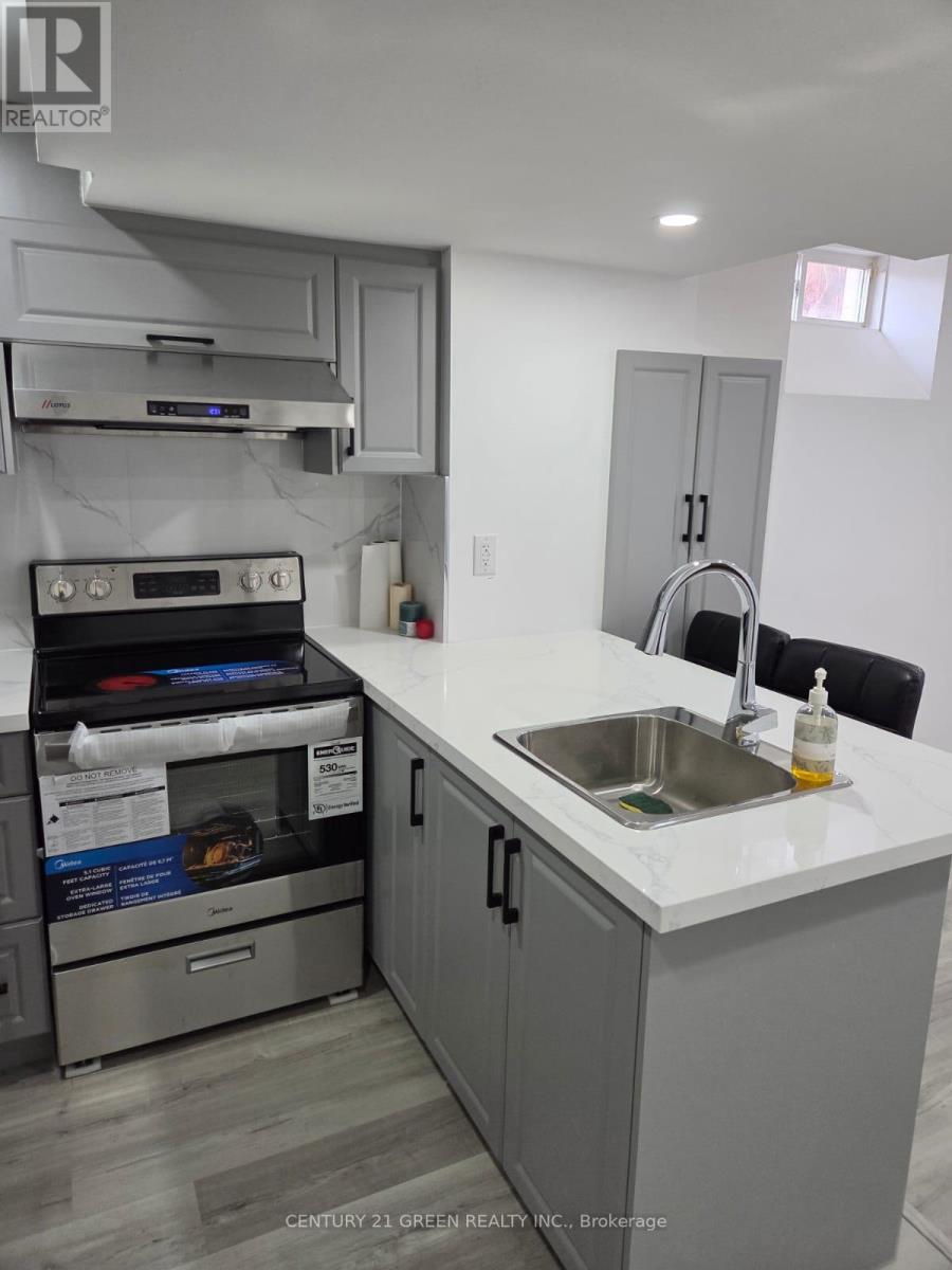 (Basement) - 3660 Partition Road, Mississauga, Ontario  L5N 8P4 - Photo 6 - W12768226