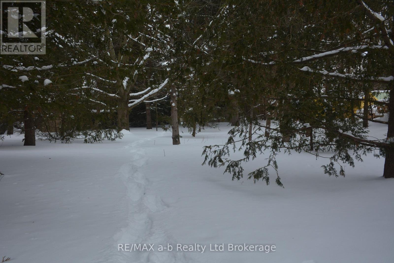 146 Whiting Street, Ingersoll, Ontario  N5C 3B3 - Photo 10 - X12768778