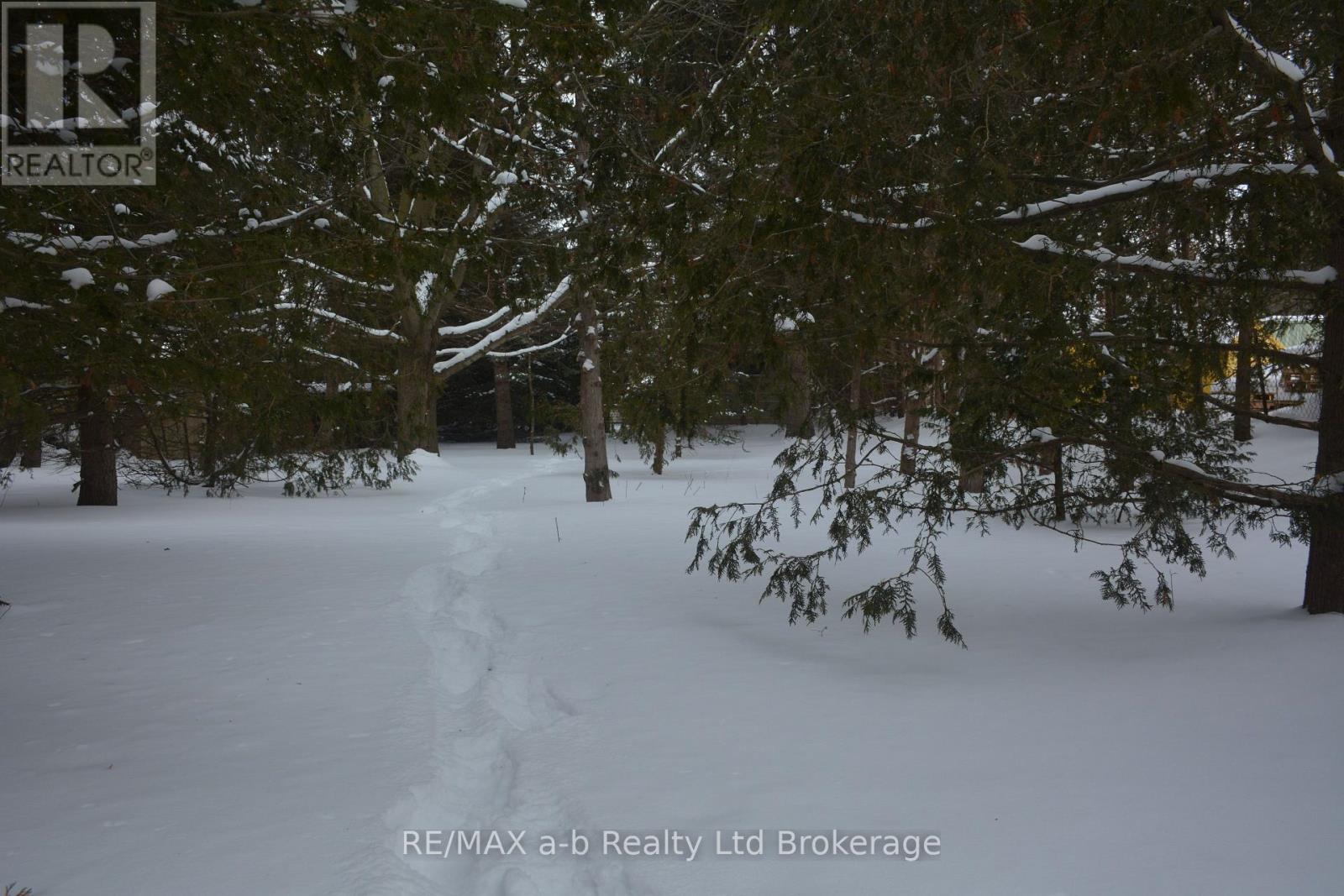 146 Whiting Street, Ingersoll, Ontario  N5C 3B3 - Photo 11 - X12768778