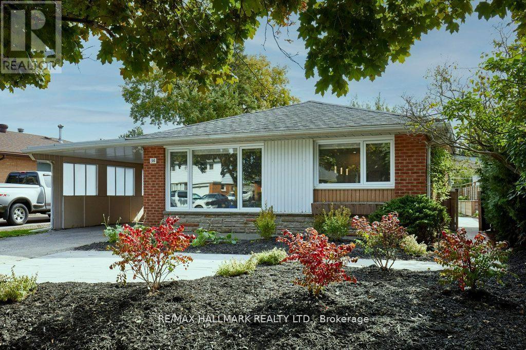 Lower - 36 Farley Crescent, Toronto (Willowridge-Martingrove-Richview), Ontario  M9R 2A6 - Photo 15 - W12768790