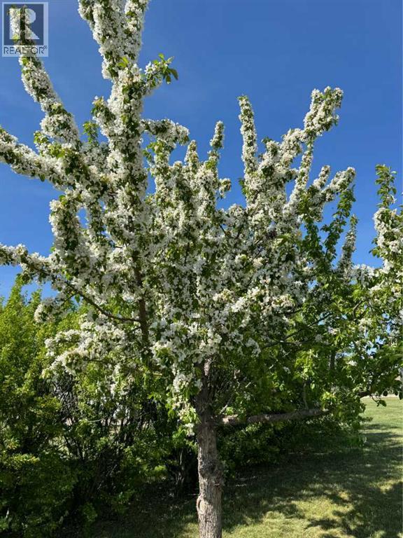 251017a &b Range Road 245, Rural Wheatland County, Alberta  T1P 0M3 - Photo 22 - A2226804