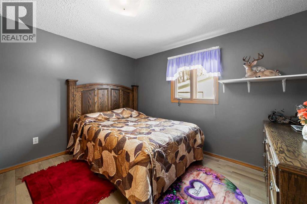 5002 49 Street, Sedgewick, Alberta  T0B 4C0 - Photo 27 - A2281718