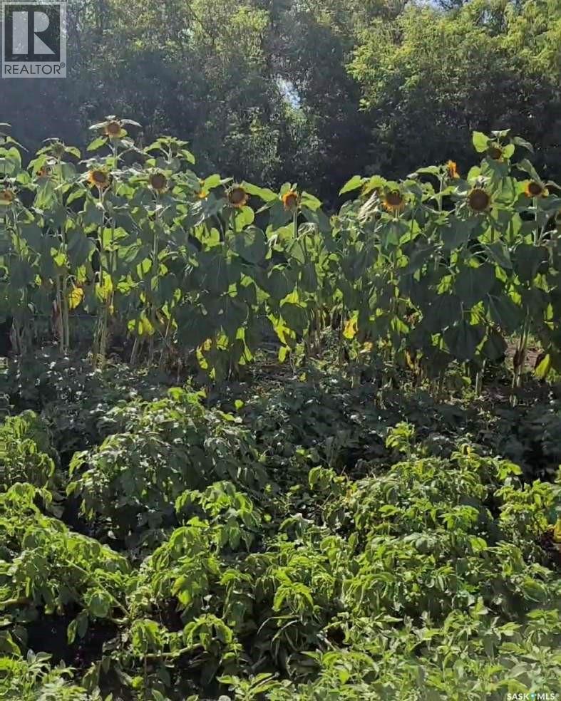 Bowes Acreage, Laird, Saskatchewan  S0K 2H0 - Photo 41 - SK027293