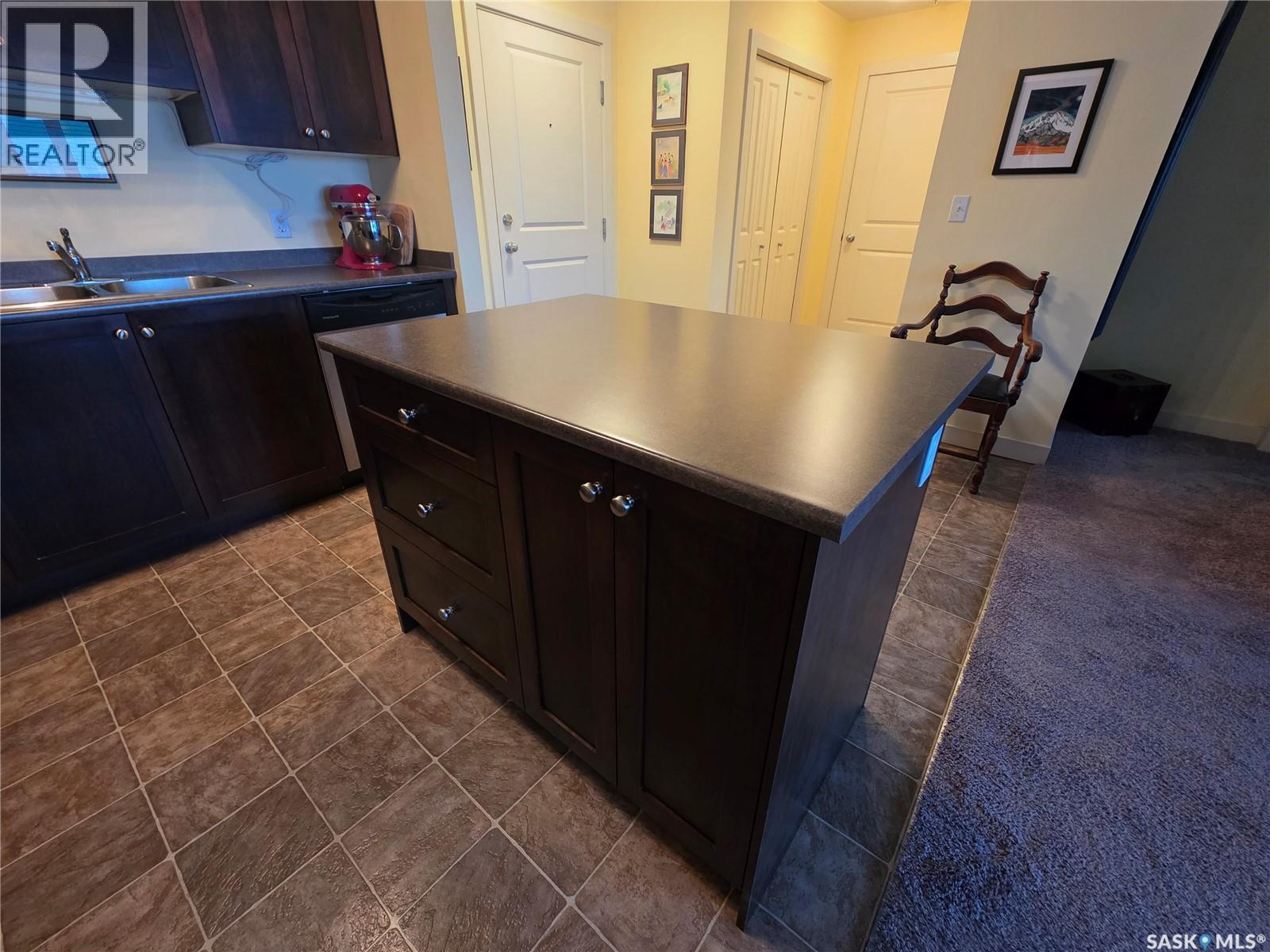 207 306 Petterson Drive, Estevan, Saskatchewan  S4A 2A8 - Photo 11 - SK028124