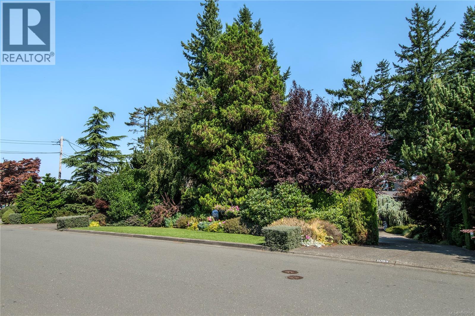 1093 Ash St, Campbell River, British Columbia  V9W 1G6 - Photo 15 - 1013131