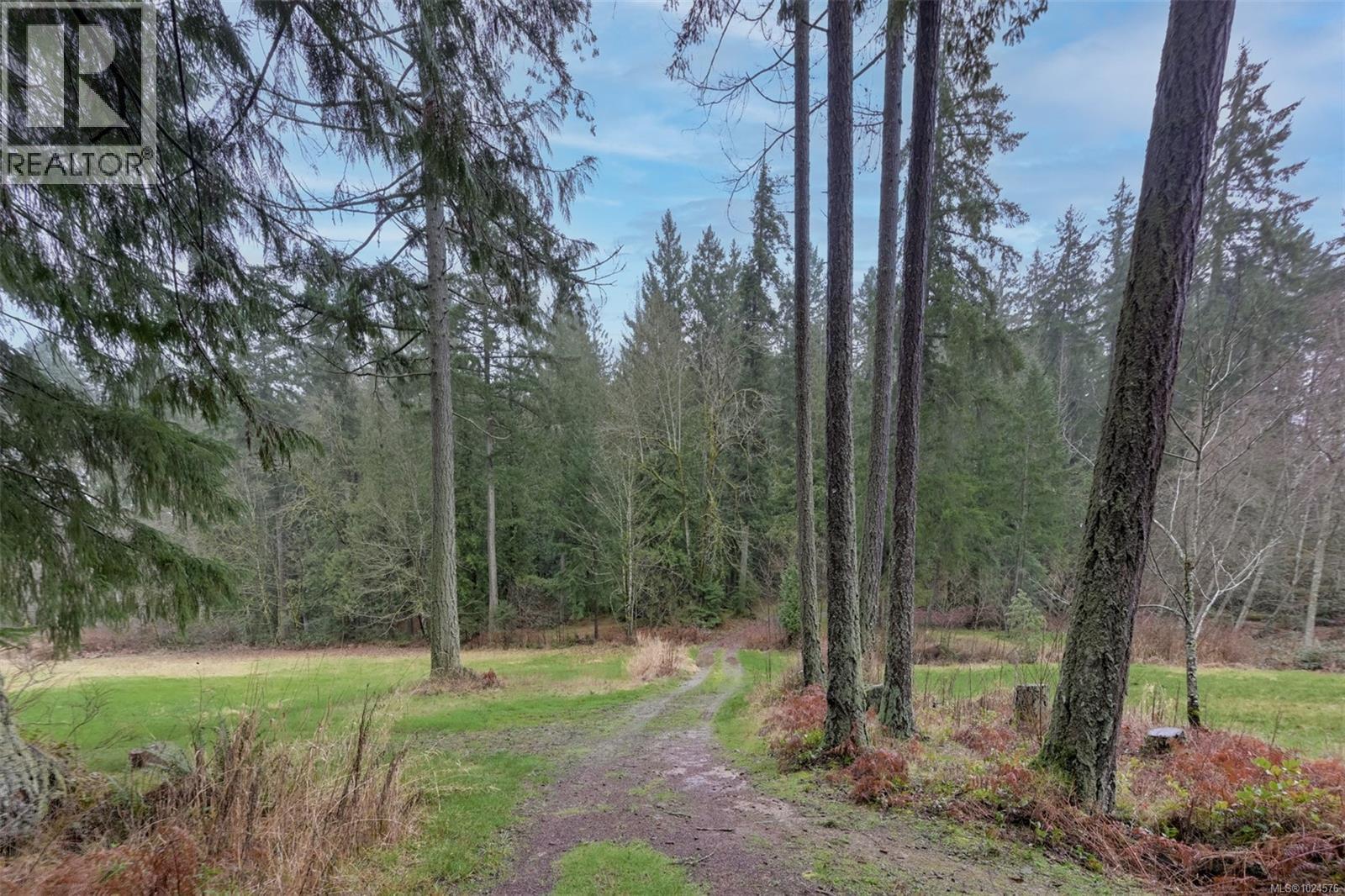 2035 Herd Rd, Duncan, British Columbia  V9L 5W3 - Photo 26 - 1024576