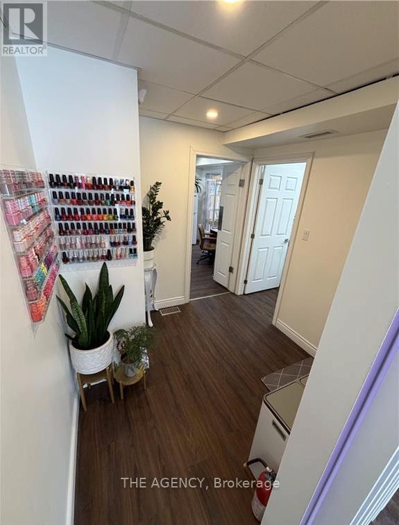 239 Brant Avenue, Brantford, Ontario  N3T 3J4 - Photo 4 - X12769110