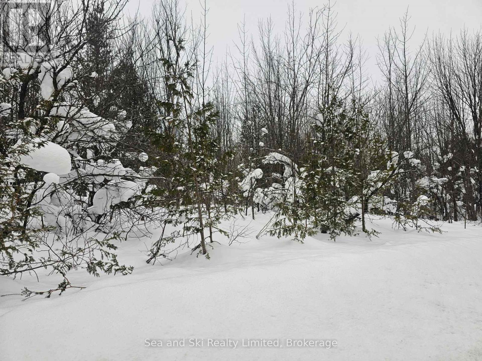 180 Bowles Bluff Road, Grey Highlands, Ontario  N0C 1H0 - Photo 4 - X12769362