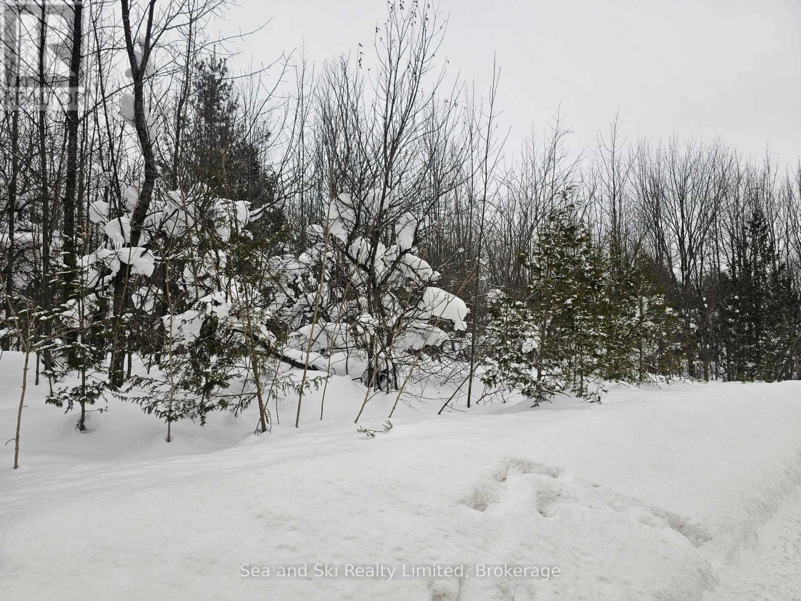 180 Bowles Bluff Road, Grey Highlands, Ontario  N0C 1H0 - Photo 5 - X12769362