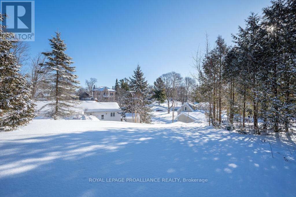 40 Davidson Street, Centre Hastings, Ontario  K0K 2K0 - Photo 20 - X12769370