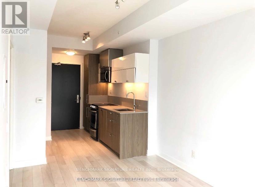 2009 - 290 Adelaide Street W, Toronto, Ontario  M5V 1P6 - Photo 4 - C12769390