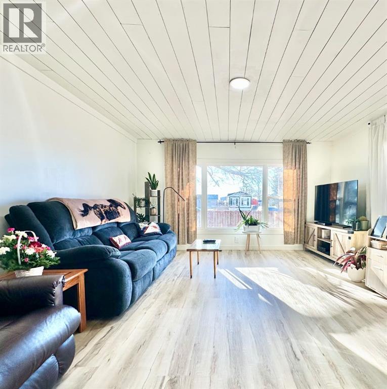 168 2 Avenue W, Tilley, Alberta  T0J 3K0 - Photo 11 - A2278631