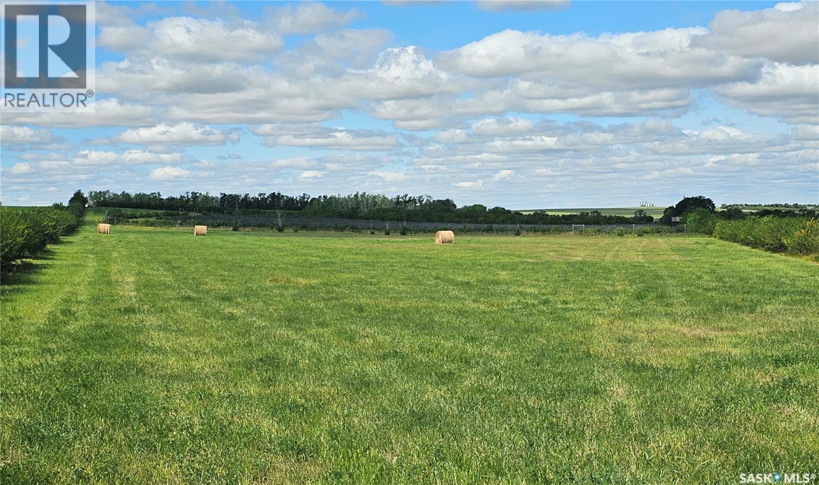 Mcleod Acreage, Miry Creek Rm No. 229, Saskatchewan  S0N 0A0 - Photo 6 - SK025277