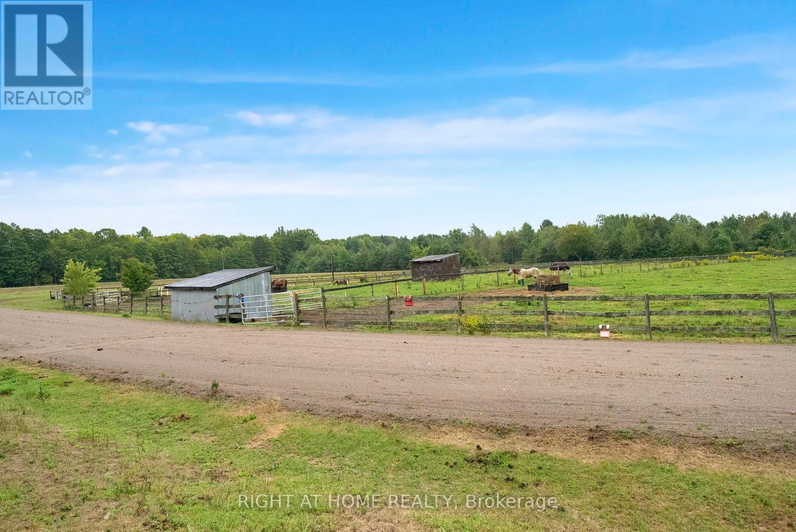 6265 Regional Road 18 Road, Clarington, Ontario  L0A 1J0 - Photo 34 - E12769756