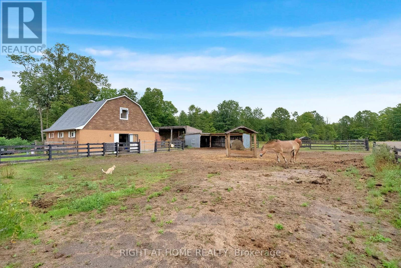 6265 Regional Road 18 Road, Clarington, Ontario  L0A 1J0 - Photo 35 - E12769756